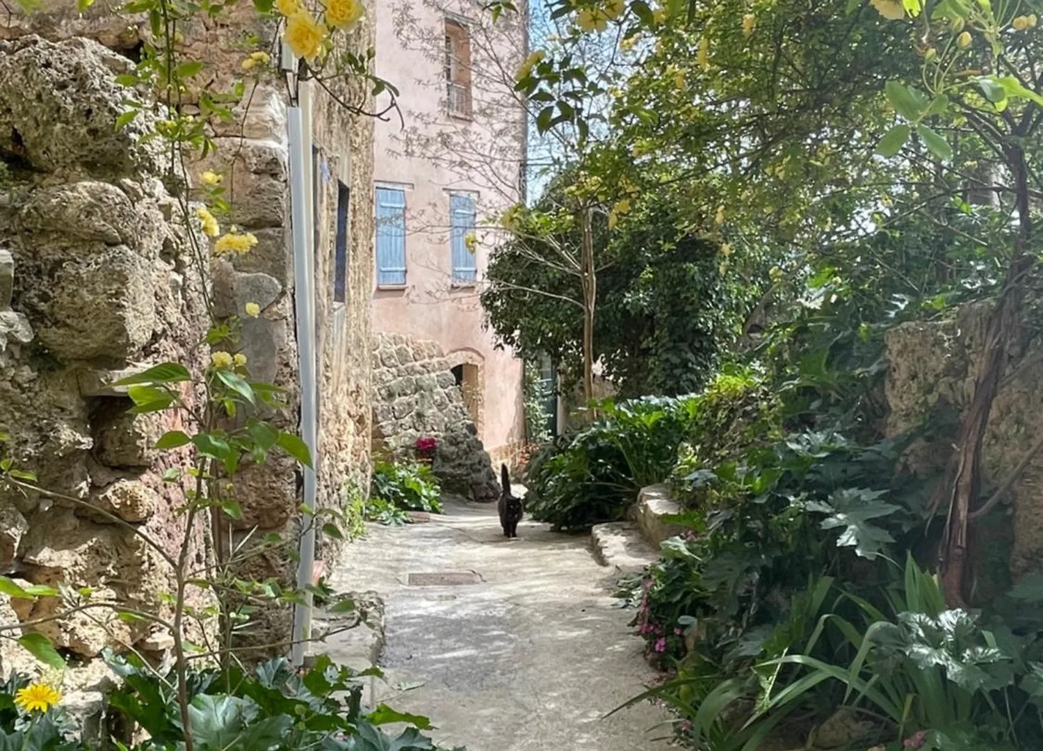 Appartamento Cosy & Chill Appartements - Au Coeur Du Village De Cotignac, En Provence